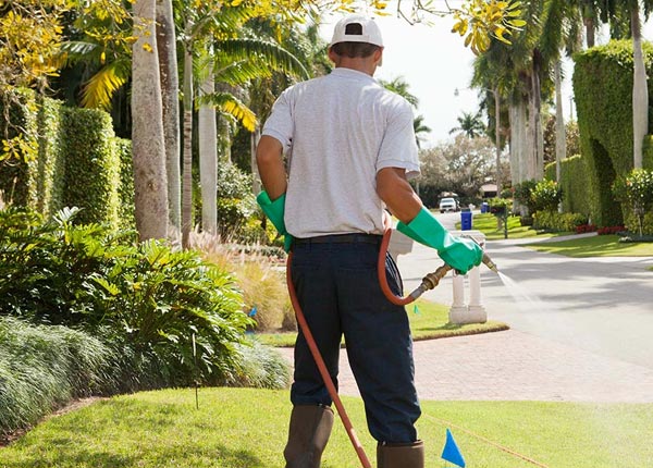 About Smallwood NY Pest Control